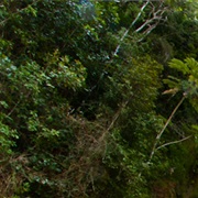 Jump El Salto El Limon