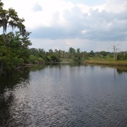 Bayou Cane, Louisiana