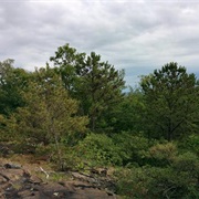 Middlesex Fells State Reservation, Massachusetts