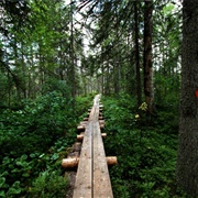 Petkeljärvi National Park