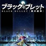 Black Bullet