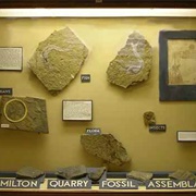 Johnston Geology Museum