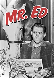 Mister Ed (1958)