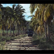 San Monique (Live and Let Die)