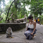 Visit Monkeys in Bali