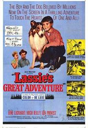 Lassie's Great Adventure (1963)