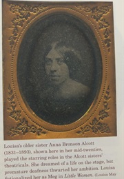 Will&#39;s Wonder Book (Louisa May Alcott)