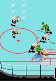 NHL Hockey (1991)