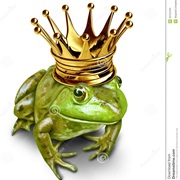 Frog Prince
