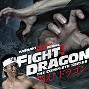 Fight! Dragon