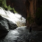 Wading Through the Narrows in Zion NP, USA