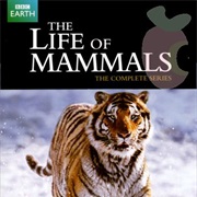 The Life of Mammals