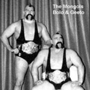 The Mongols