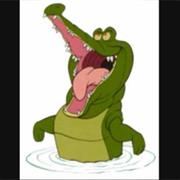 The Crocodile
