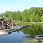 Airboat Across an Aligator Infested Swamp