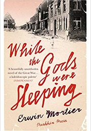 While the Gods Were Sleeping (Erwin Mortier)