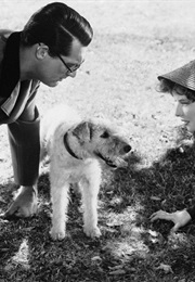 Bringing Up Baby. (1938)