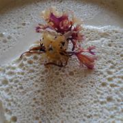 Carrageen Moss Pudding