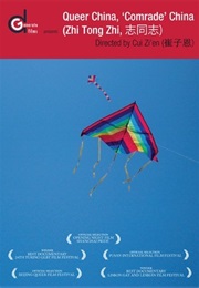 Queer China, 'Comrade' China (2009)