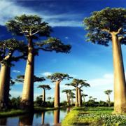Rafting the Mangoky, Madagascar