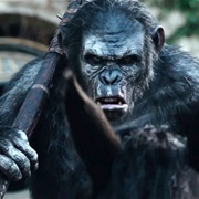 Koba (Dawn of the Planet of the Apes)