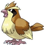 Pidgey