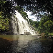 Parc National Du Haut Niger, Guinea