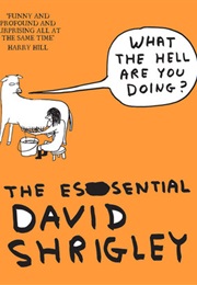 What the Hell Are You Doing?: The Essential David Shrigley (David Shrigley)