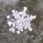 Snow Flake