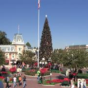 Christmas Tree (????-Present)