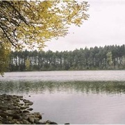 Offut Lake