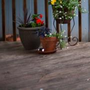 Scrubbed Your Patio or Decking