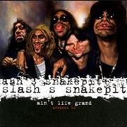 Slash's Snakepit - Ain't Life Grand