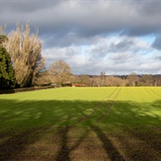 Limpsfield Common (NT)