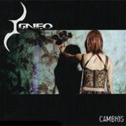 Igneo