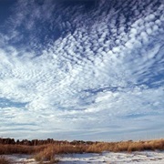 What Do the Different Cloud-Shapes Tell You About the Weather?