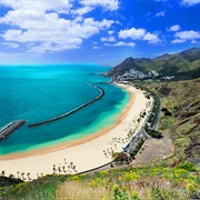 Visiting One of the Canaries, Spain