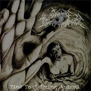 Shroud of Despondency - Tied to a Dying Animal