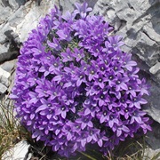 Biokovo Nature Park, Croatia