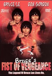 Bruce's Fist of Vengeance (1980)