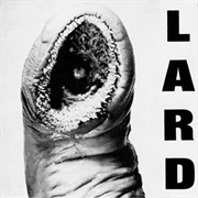 Lard — the Power of Lard