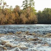Big Shoals State Park, Florida