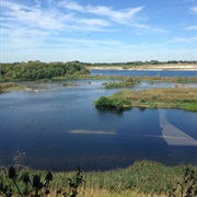 College Lake Nature Reserve Tring