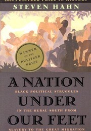 A Nation Under Our Feet (Steven Hahn)