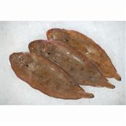Dover Sole