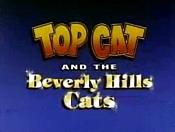 Top Cat and the Beverly Hills Cats