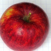 Rajka Apple
