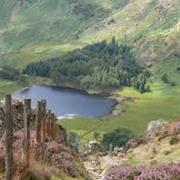 Sit in the Stunning Elterwater Landscape With a Beer