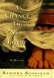 A Chance to See Egypt (Sandra Scofield)