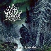 Dark Forest - Aurora Borealis